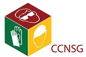 CCNSG Certified