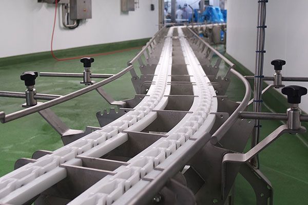 Chain Conveyor