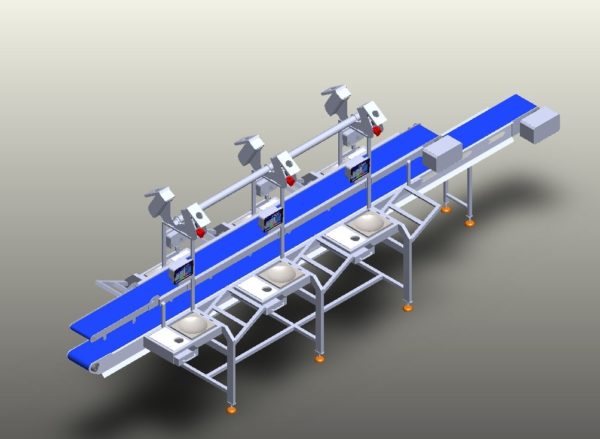 Stainless Packing station Conveyors - Image 4