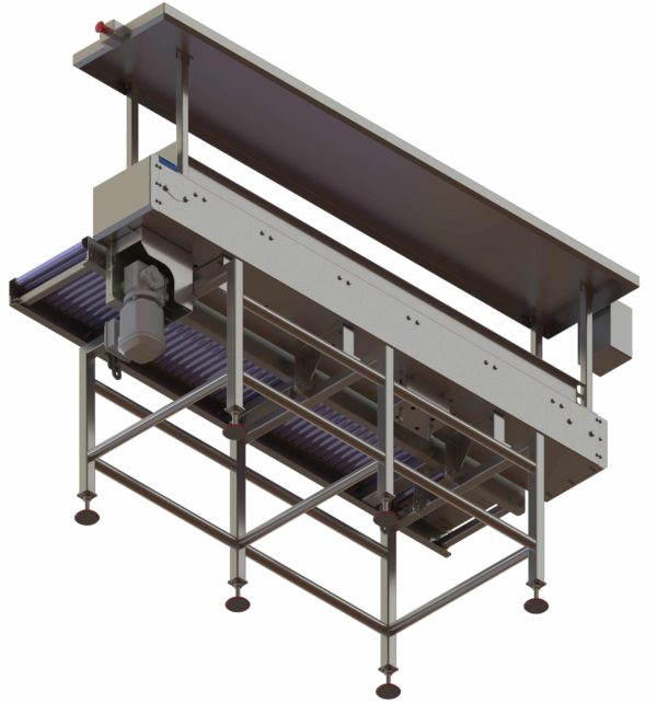 Stainless Packing station Conveyors - Image 7