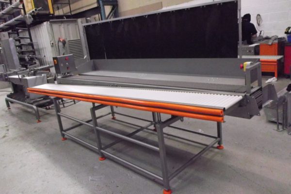 Stainless Packing station Conveyors - Image 6